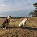 honden foto Nero en beste vriend Sam
