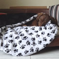 honden foto Slaapzak maar weer gewassen en neergelegd. Hij is een beetje rommelig, maar ze vindt 'm best lekker liggen :)
