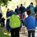 honden foto Groepswandeling Schoorl. 