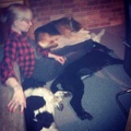 honden foto 