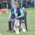 honden foto Wedstrijd Belgische GH