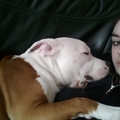 honden foto ik lig zo wel heel fijn hoor vrouwtje, maar ben echt niet moe