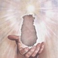 honden foto In the arms of an Angel... 