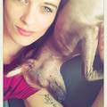 honden foto 