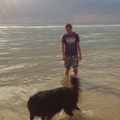 honden foto Strand