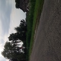 honden foto 