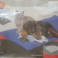 honden foto 