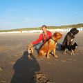 honden foto 