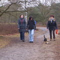 honden foto 