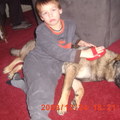 honden foto 