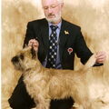 honden foto 