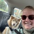 honden foto 