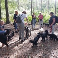 honden foto 