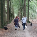 honden foto 