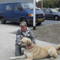 honden foto Bozo: vraag om info