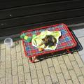 honden foto ik Dolci op mijn stres-bedje