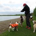 honden foto hee die mevr kennen we die heeft lekkers 