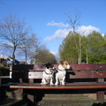 honden foto Op bankje