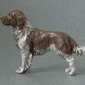 honden foto Kleine munsterlander