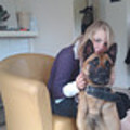 honden foto 