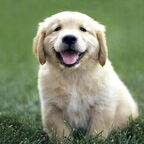 Zelf bedacht gedichtje: ik wil een weer een pup zijn!