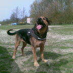 Mijn lieve schat