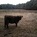 Spannend avontuur in het bos