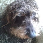 Kennismaken met Floris