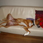 Heerlijk relaxen op de bank.