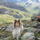 Yenna in Oostenrijk