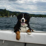Mac varen