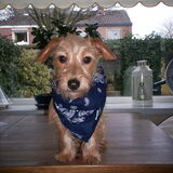 Lola met haar stoere sjaaltje!!