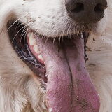Smile!!!