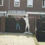Geen titel