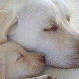 samen....