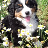 Flower power time ...