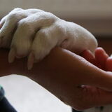 Hand vast...