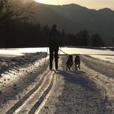Shadow en Spot 1e keer voor de ski's
