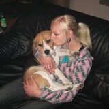 Beagle Shailo