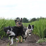 Genieten!