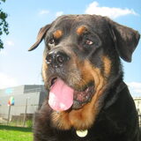 Lieve oude Sonja