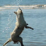 Super jump