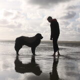 Samen aan het strand
