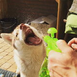 Water fun