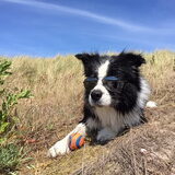 Chillen aan het strand