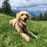 Vakantie in Oostenrijk