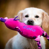 It's mine!