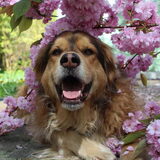 Roze is ook voor mannen!