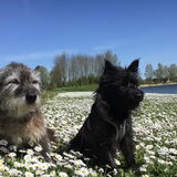 Samen aan het water