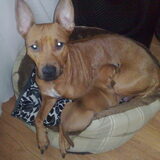 Janey en Juicey 16-01-2009